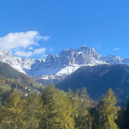 Ferienwohnung Rosengarten Am Manoetscherhof Cornedo all'Isarco Kültér fotó