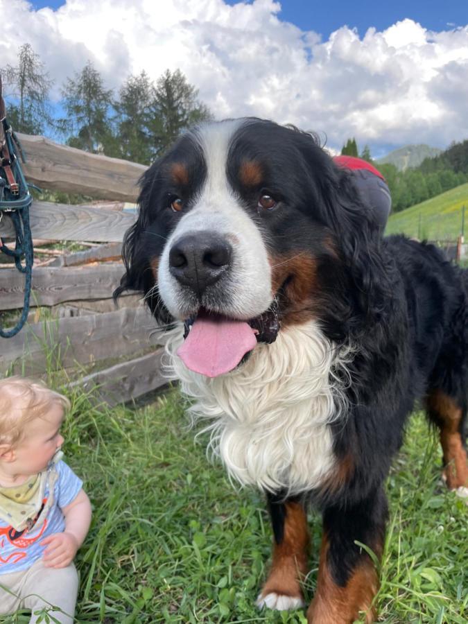 Ferienwohnung Rosengarten Am Manoetscherhof Cornedo all'Isarco Kültér fotó
